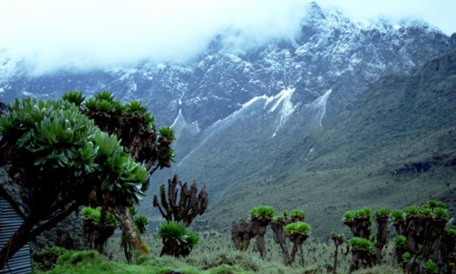 Ruwenzori Mountains, Northeastern DR Congo, DR Congo